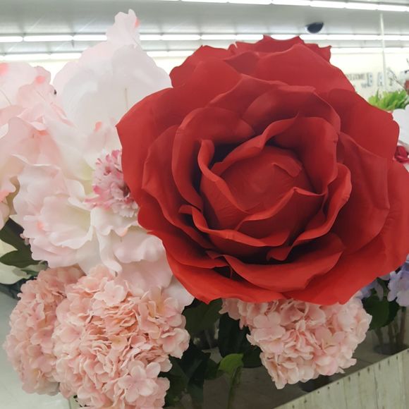 Meet your Posher, Lisa - Picture 1 of 1